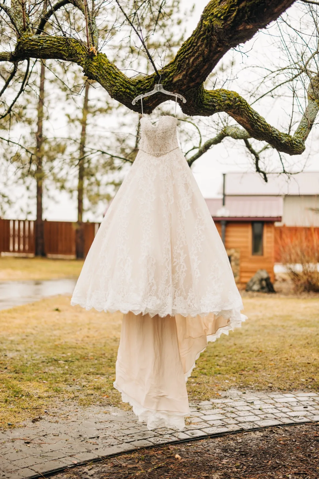 A lace wedding gown hangs from a mossy tree branch with its train pooling on a stone walkway in front of a wooden cabin at Pine Peaks Event Center. — Tim Larsen Photography, Brainerd Lakes MN