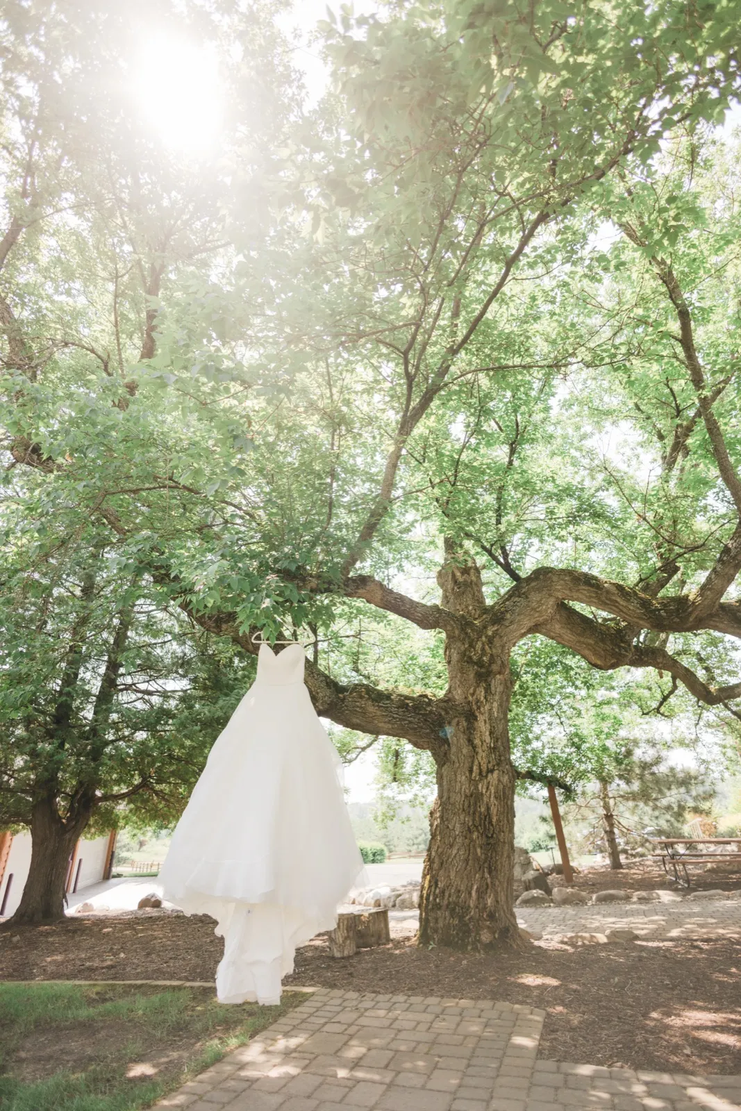 A white wedding gown hangs from the branch of a sprawling oak tree on a sunlit garden path at Pine Peaks Event Center. — Tim Larsen Photography, Brainerd Lakes MN
