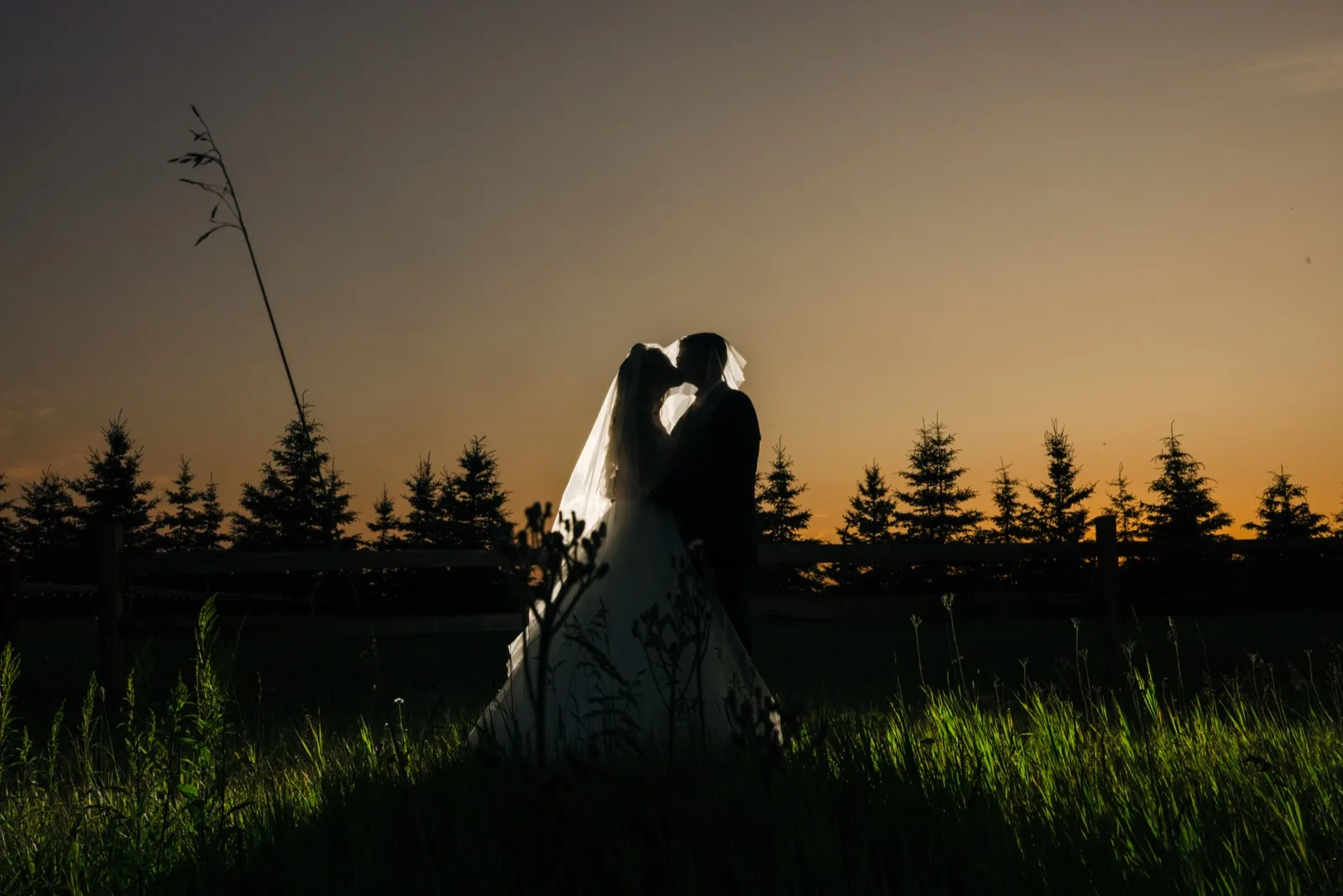 The bride and groom kiss in silhouette beneath her veil as the sun sets behind a row of evergreens at Pine Peaks Event Center. — Tim Larsen Photography, Brainerd Lakes MN