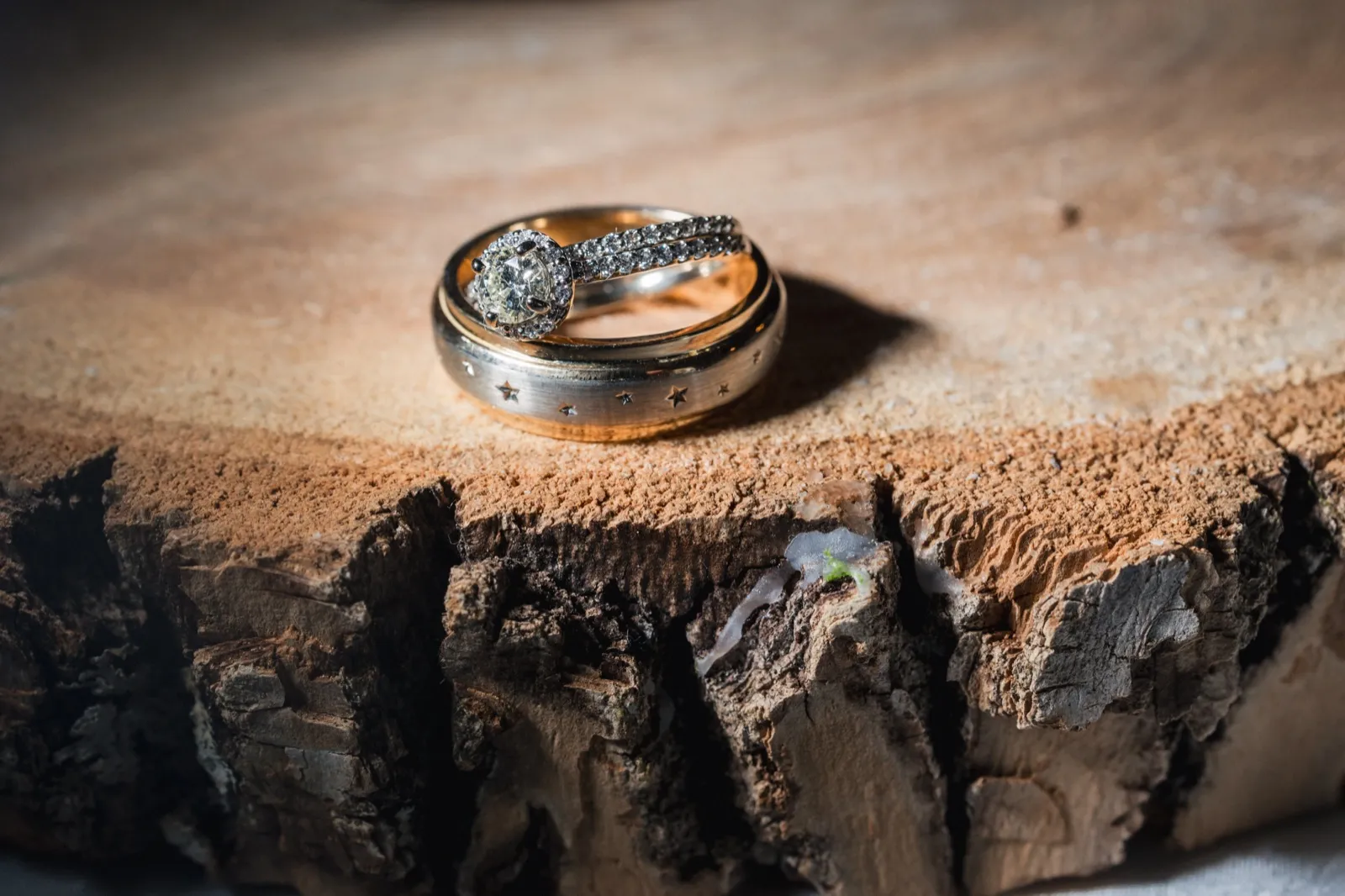 A diamond engagement ring stacked with two patterned wedding bands rests on a raw-edged wood slab in a beam of window light — Tim Larsen Photography, Brainerd Lakes MN