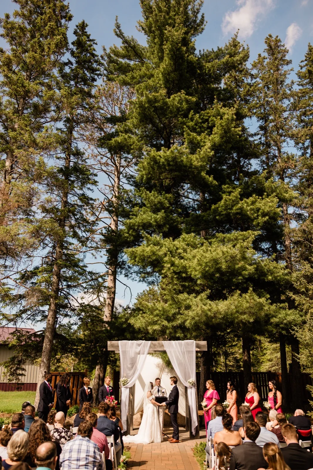 Wide view of the ceremony site beneath towering pines at Pine Peaks Event Center — Tim Larsen Photography, Brainerd Lakes MN