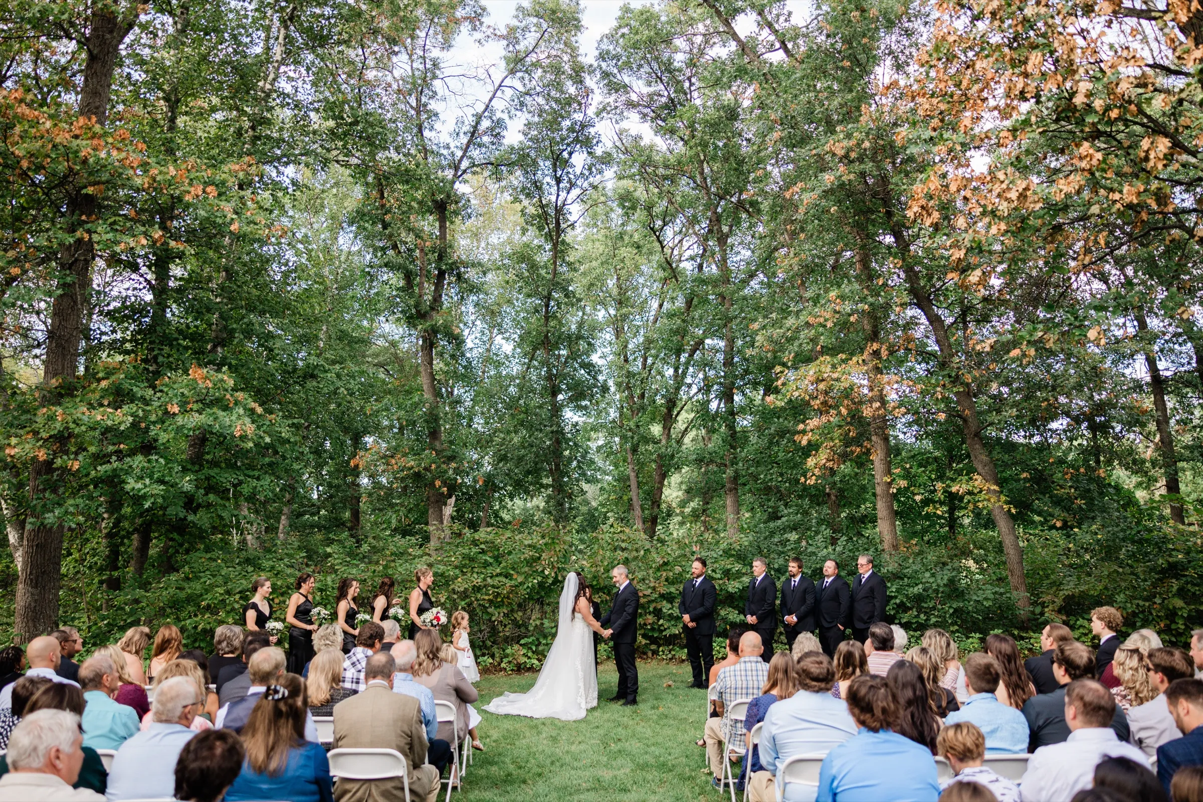 Guests on white folding chairs watch Amber and Don hold hands before the officiant, with the bridal party on either side beneath tall trees just starting to turn. — Tim Larsen Photography, Brainerd Lakes MN