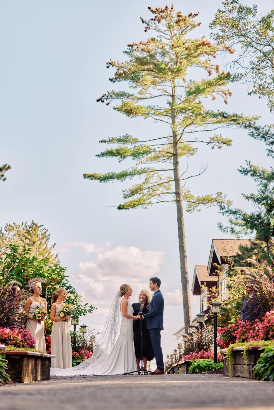 The bride and groom hold hands at an outdoor ceremony as the officiant speaks, dwarfed by a towering pine tree with bridesmaids and Grand View Lodge buildings flanking the aisle. — Tim Larsen Photography, Brainerd Lakes MN