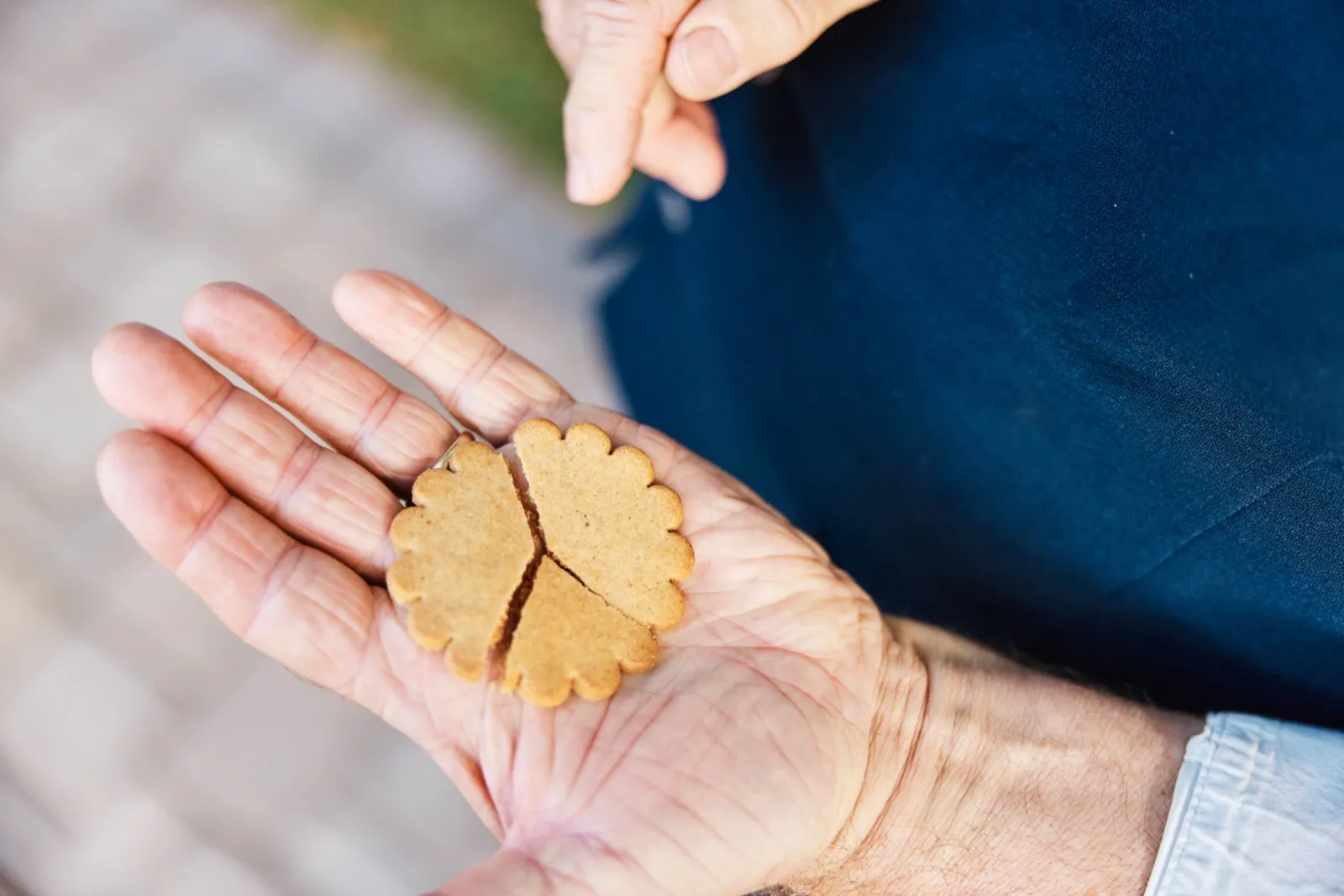 A guest's cupped hand holds a flower-shaped cookie broken into three pieces while a second hand reaches in from above. — Tim Larsen Photography, Minnesota