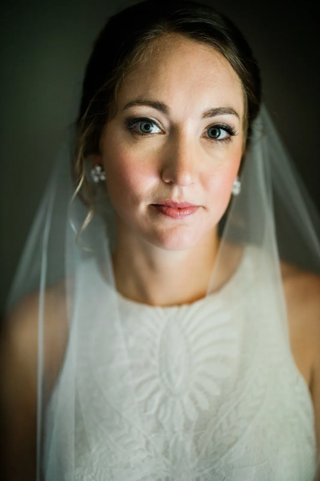 A close-up portrait of the bride beneath her veil, looking calmly toward soft window light in a bridal suite. — Tim Larsen Photography, Brainerd Lakes MN