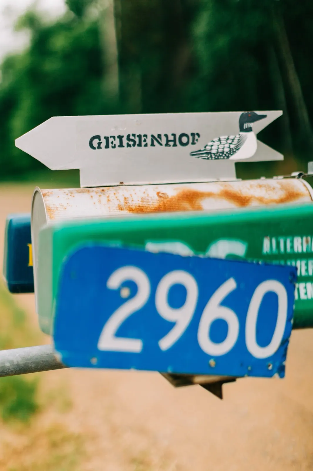 The Geisenhof family mailbox — a hand-painted loon sign and address number — where the morning started — Tim Larsen Photography, Brainerd Lakes MN