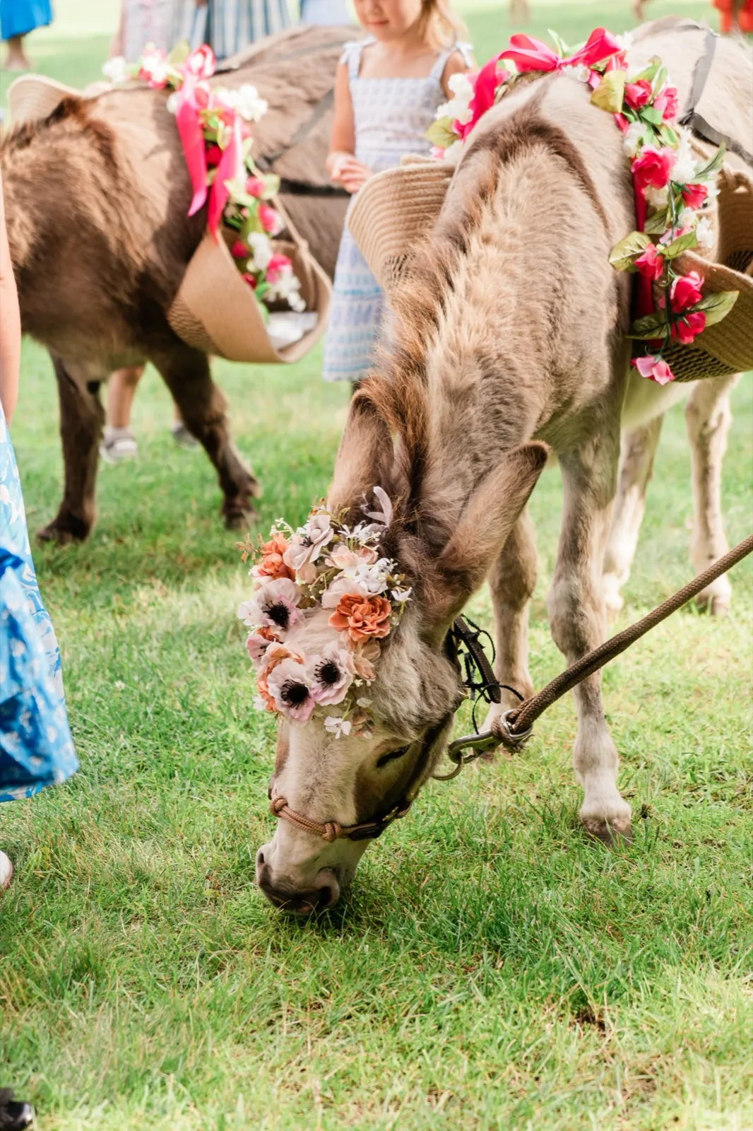 A miniature donkey in a floral crown carries straw baskets of juice boxes across the cocktail-hour lawn at Grand View Lodge — Tim Larsen Photography, Brainerd Lakes MN
