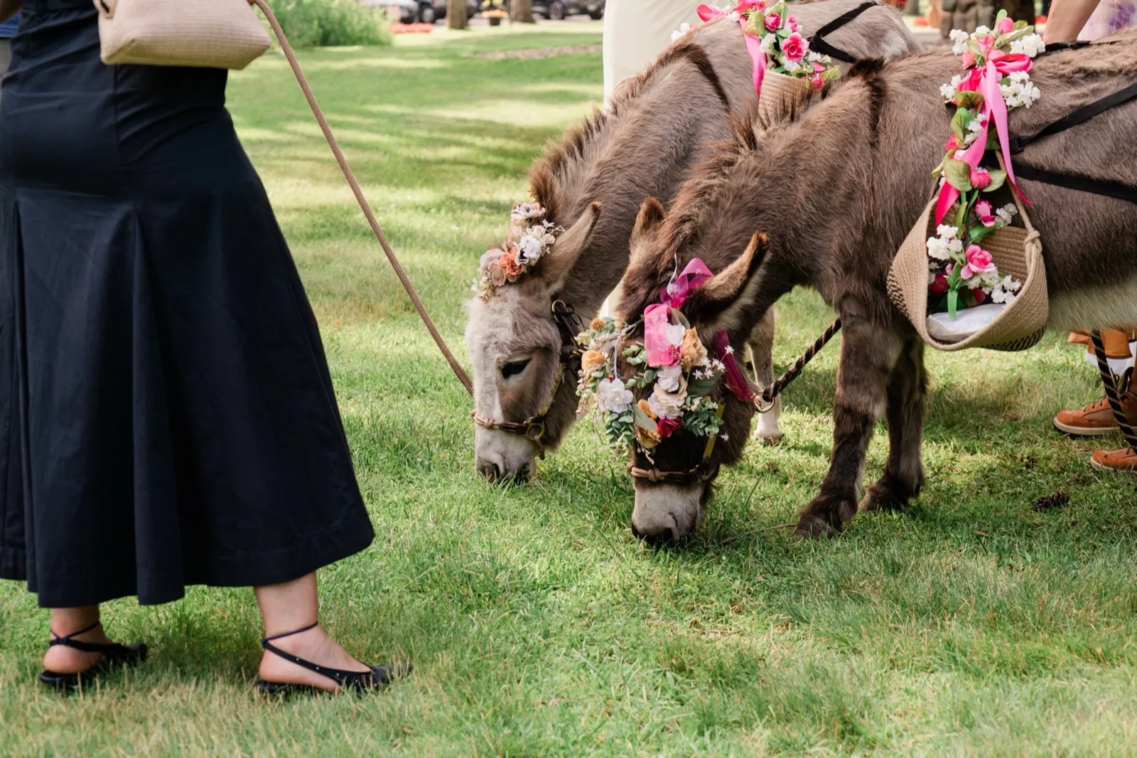 Two miniature donkeys wearing elaborate floral crowns and saddle baskets of juice boxes graze side by side while a handler holds their lead ropes — Tim Larsen Photography, Brainerd Lakes MN