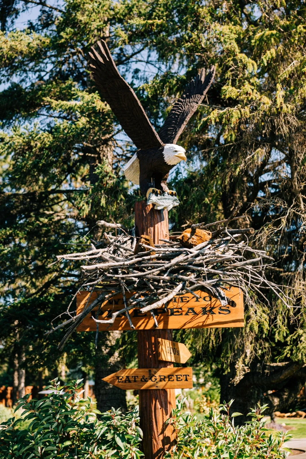 A carved wooden bald eagle sculpture perched above a stick nest tops a directional signpost reading 'Pine Peaks' and 'Eat & Greet' at the entrance to a wooded venue — Tim Larsen Photography, Brainerd Lakes MN