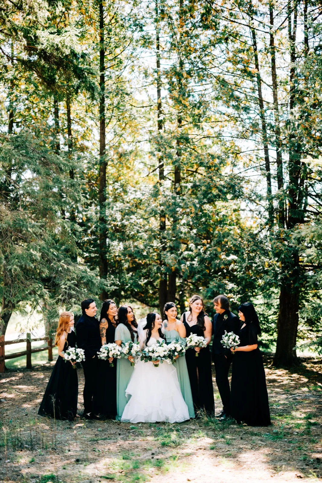 The bride, groom, and bridal party stand laughing together in a clearing surrounded by towering pine trees at Pine Peaks Event Center — Tim Larsen Photography, Brainerd Lakes MN