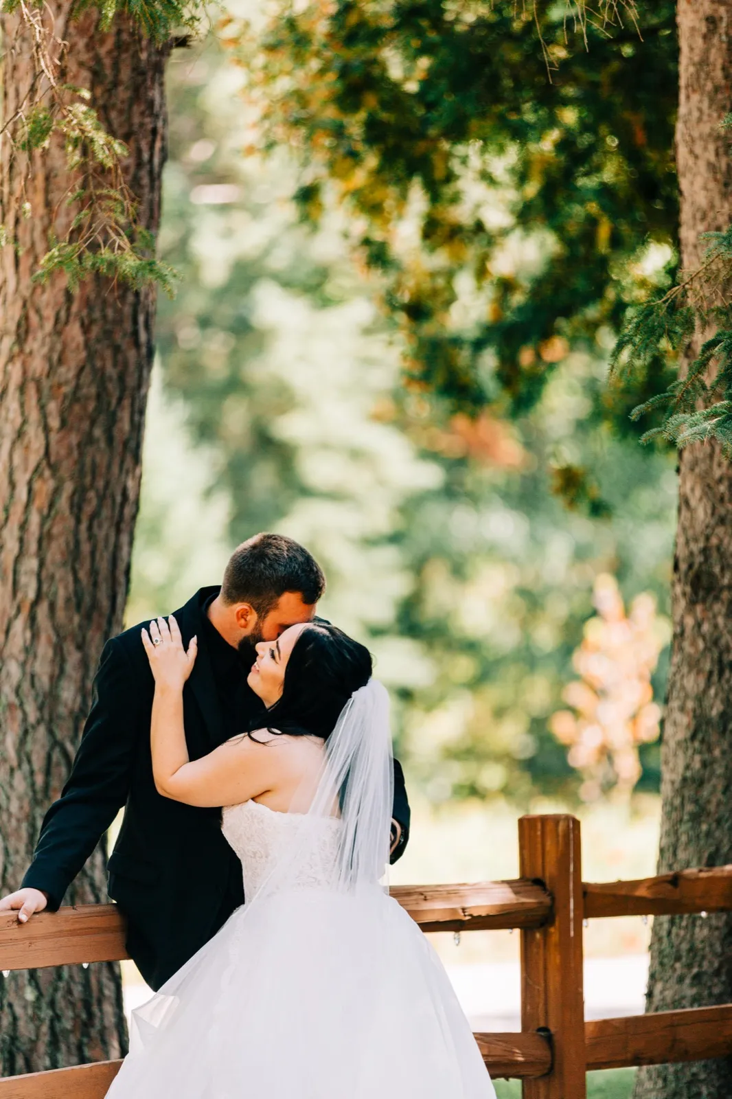 The bride and groom embrace beside a wooden fence, dwarfed by towering pine trees on a forest path at Pine Peaks Event Center — Tim Larsen Photography, Brainerd Lakes MN