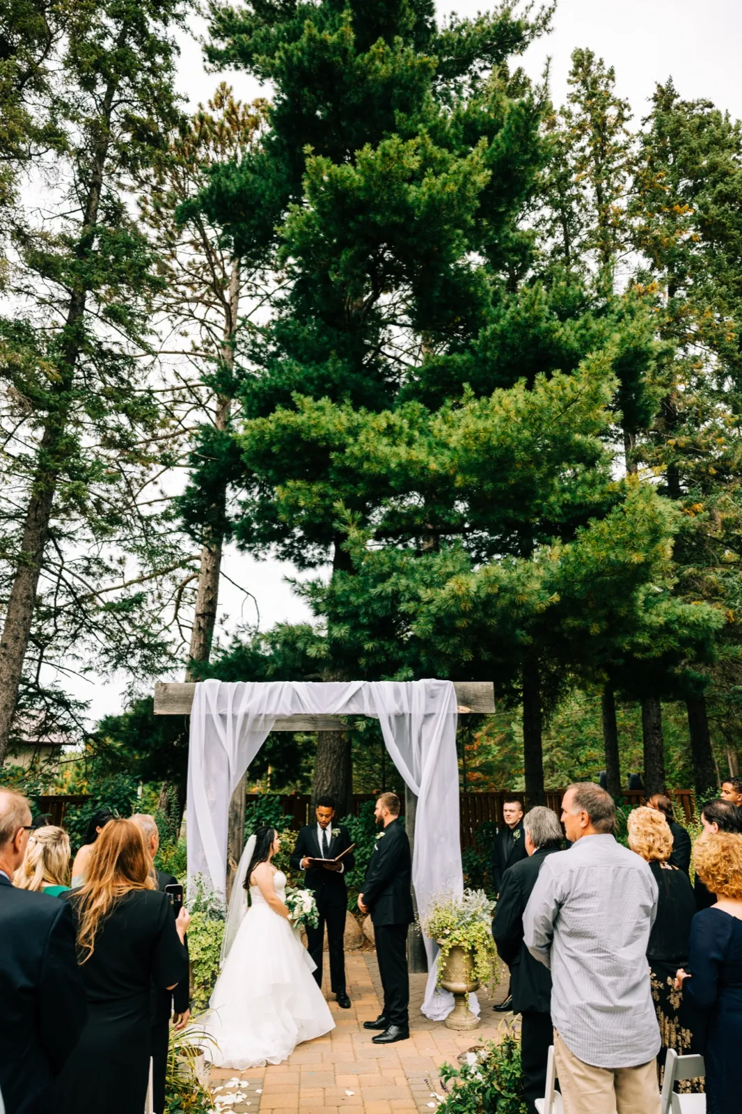 An extreme-wide view of an outdoor ceremony where a bride and groom stand under a draped wooden arch with the officiant, beneath enormous pine trees with guests watching from both sides — Tim Larsen Photography, Brainerd Lakes MN