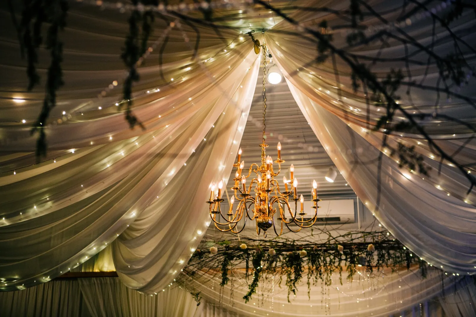 A gold chandelier hangs from a draped fabric ceiling lit by strands of fairy lights, with greenery branches framing the edges of the frame — Tim Larsen Photography, Brainerd Lakes MN
