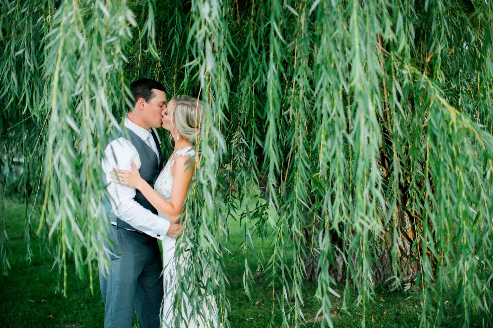 The bride and groom kiss beneath the long draping branches of a willow tree, framed on both sides by curtains of green leaves. — Tim Larsen Photography, Brainerd Lakes MN
