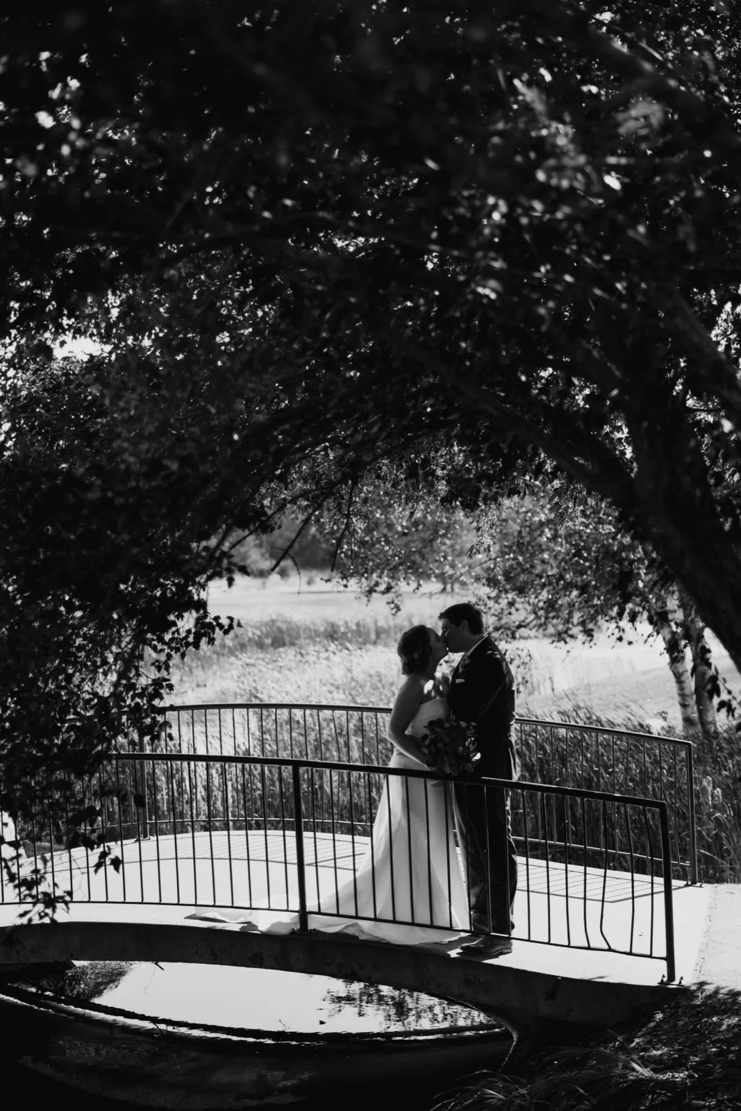 The bride and groom kiss on a small arched bridge, framed by an overhanging tree canopy with marsh reeds in the distance, rendered in black and white — Tim Larsen Photography, Brainerd Lakes MN