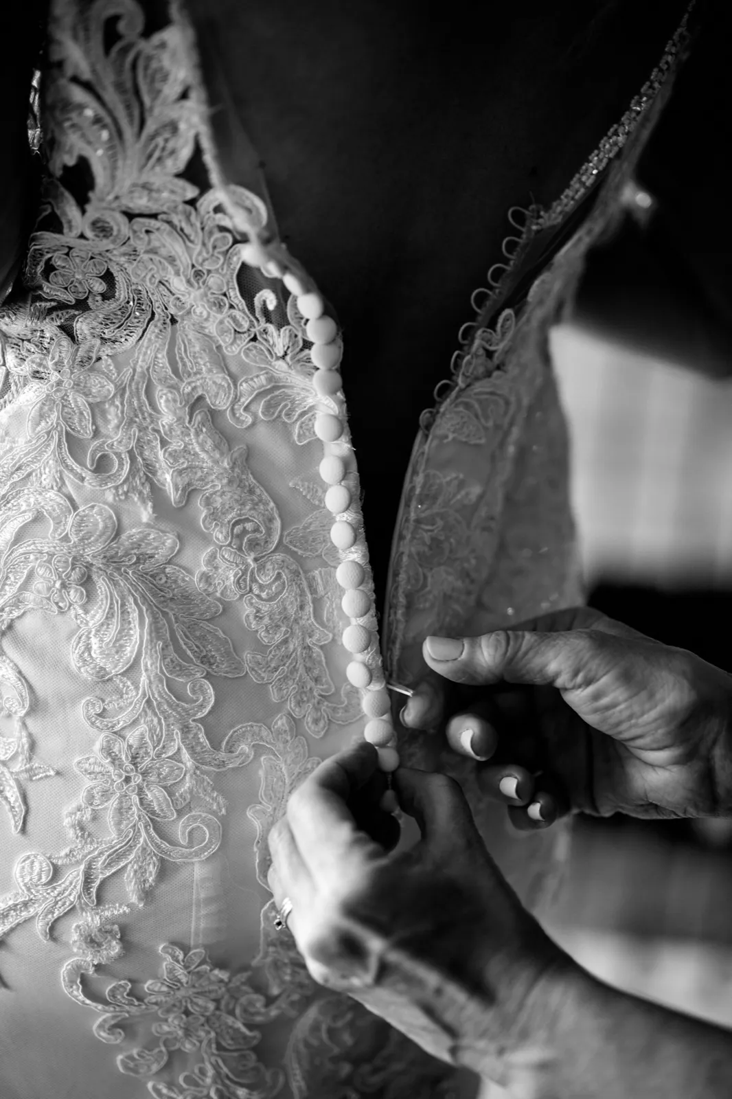 Black-and-white close-up of hands fastening the row of covered buttons down the lace back of the bride's gown — Tim Larsen Photography, Brainerd Lakes MN
