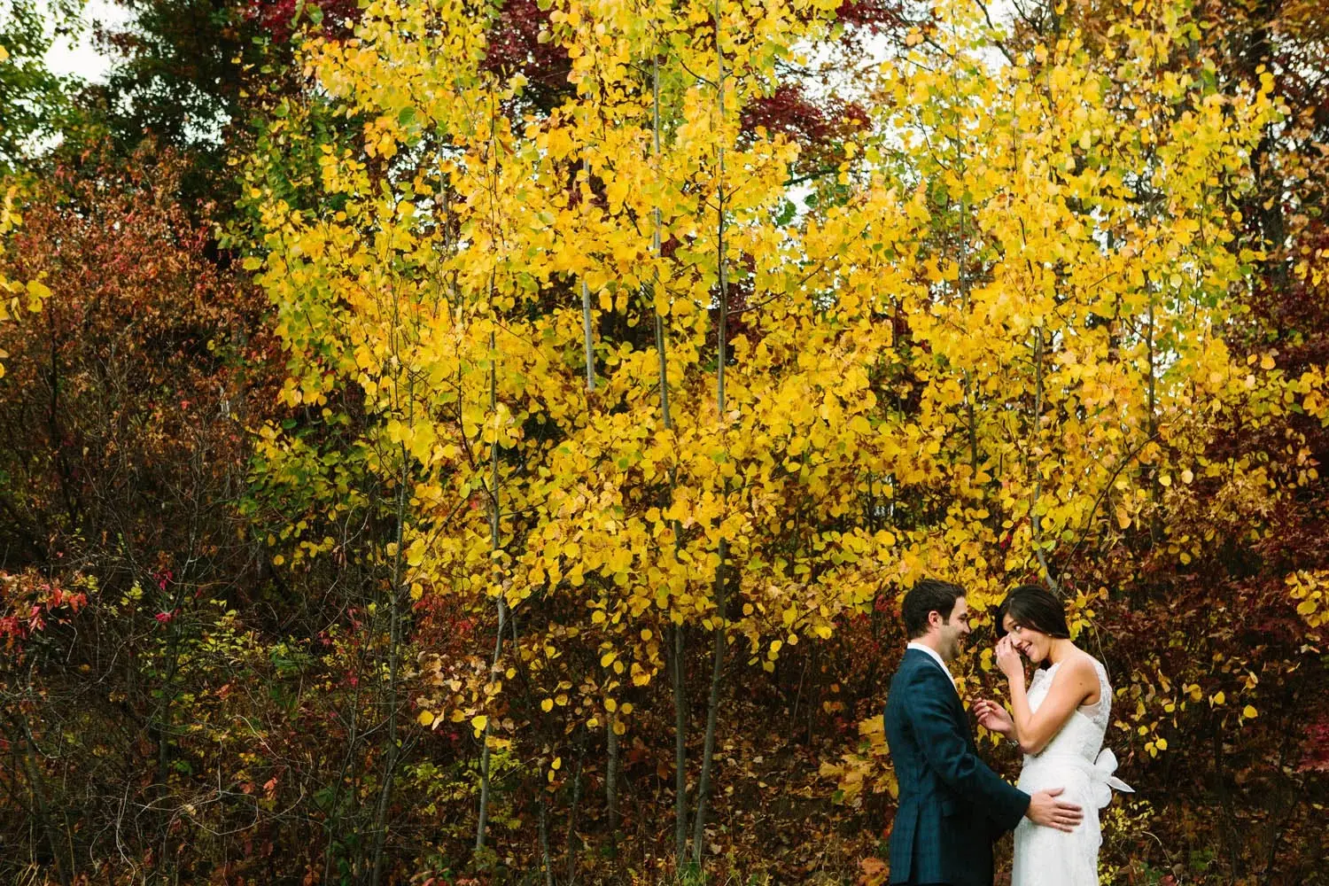 Couple beneath a stand of brilliant yellow autumn aspens — Tim Larsen Photography, Brainerd Lakes MN