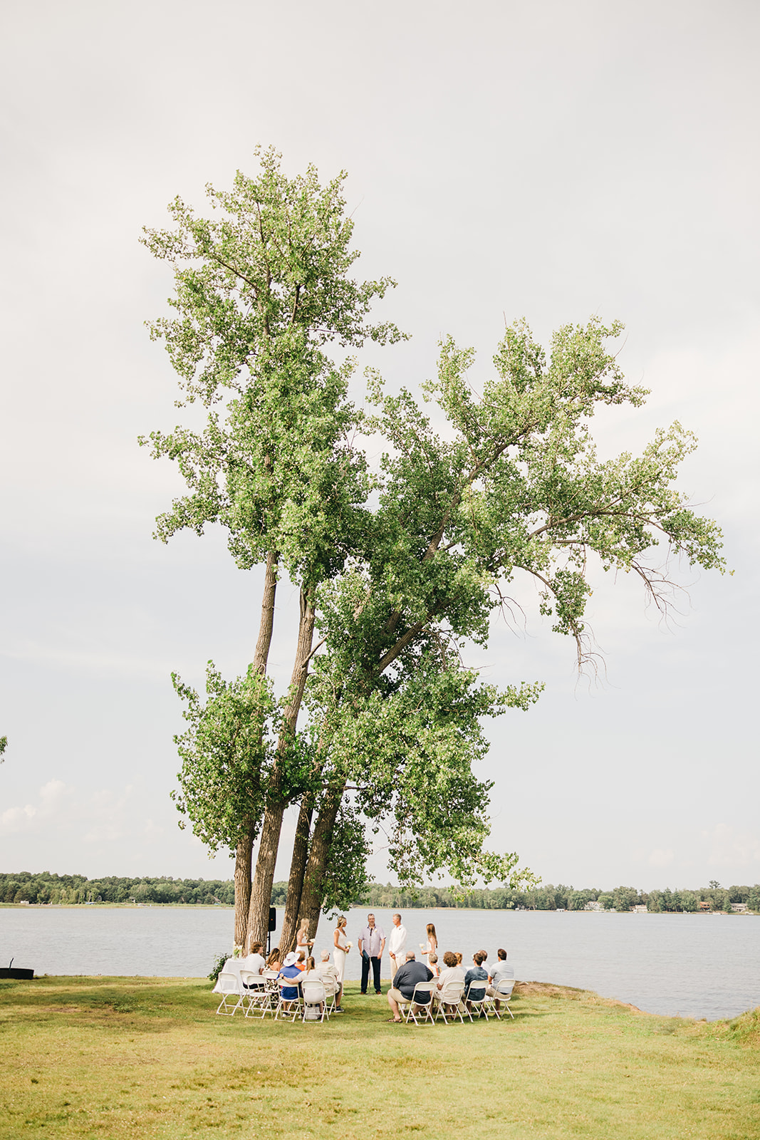 Intimate lakeside ceremony under a tall tree on the Point Lawn at Breezy Point — Tim Larsen Photography, Brainerd Lakes MN