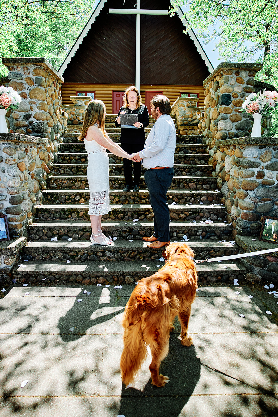 Intimate ceremony at the log cabin chapel with golden retriever watching — Tim Larsen Photography, Brainerd Lakes MN