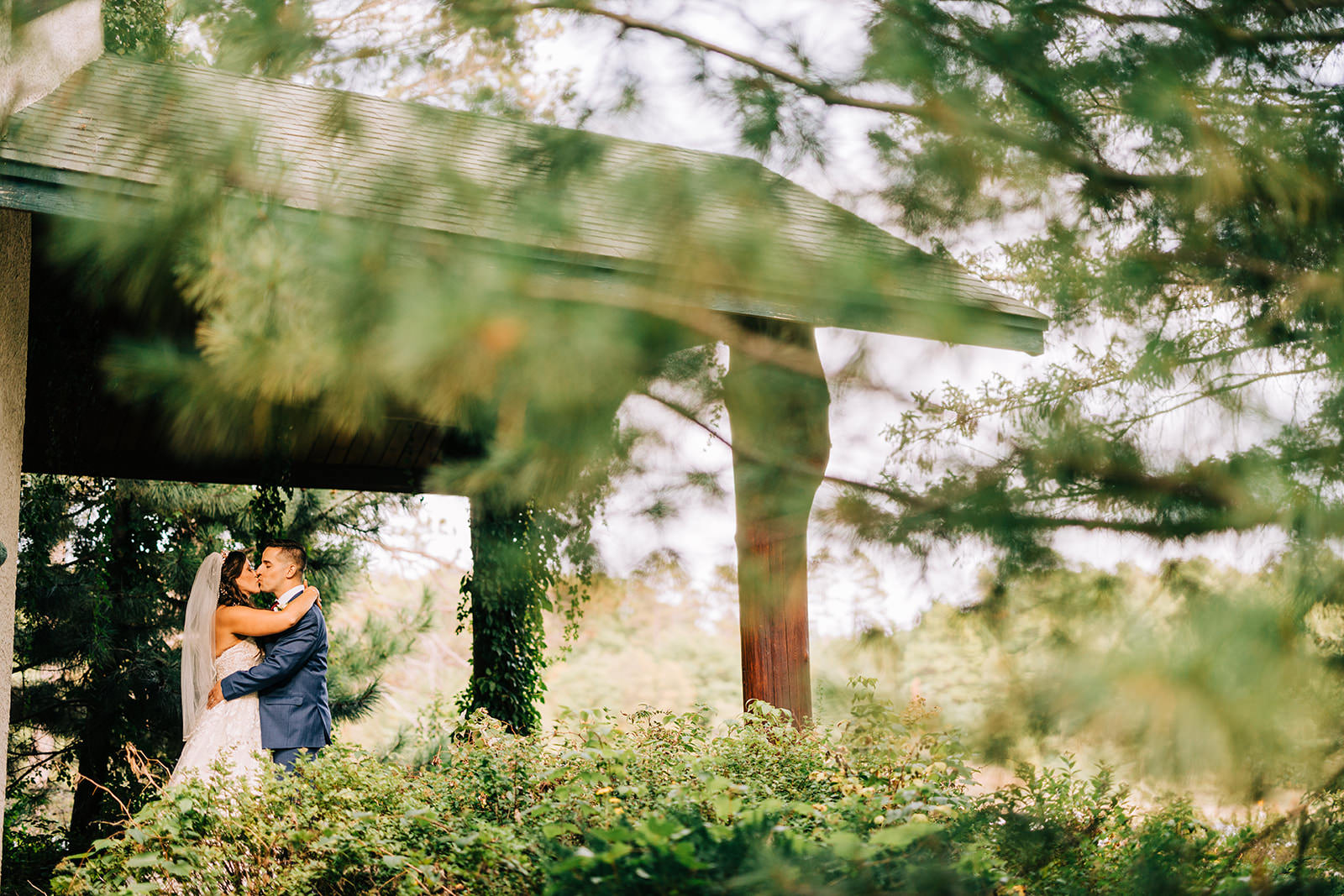 Couple kissing through pine branches with golden backlight on the lodge grounds — Tim Larsen Photography, Brainerd Lakes MN