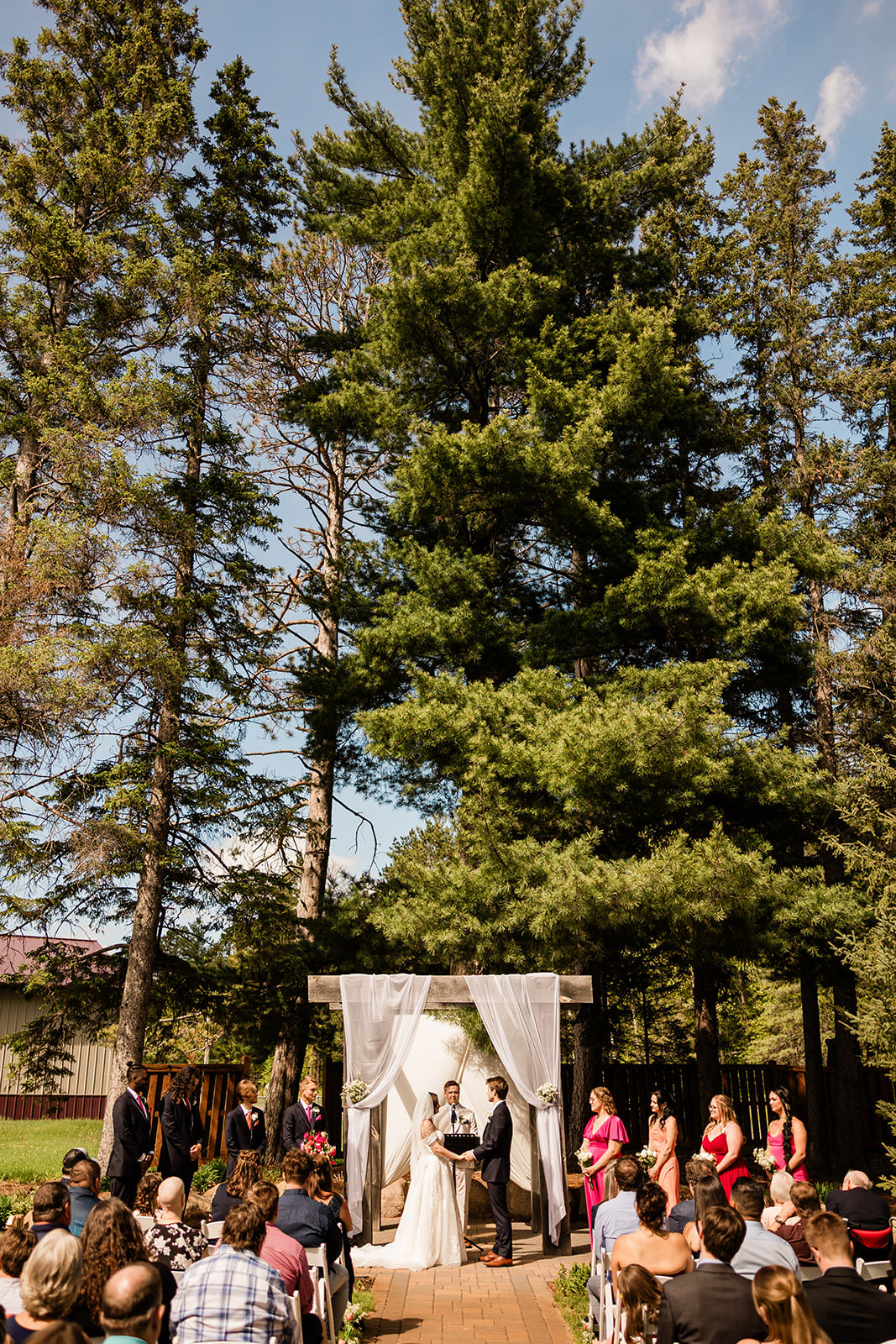 Outdoor ceremony under tall pines with draping and arbor at Pine Peaks — Tim Larsen Photography, Brainerd Lakes MN