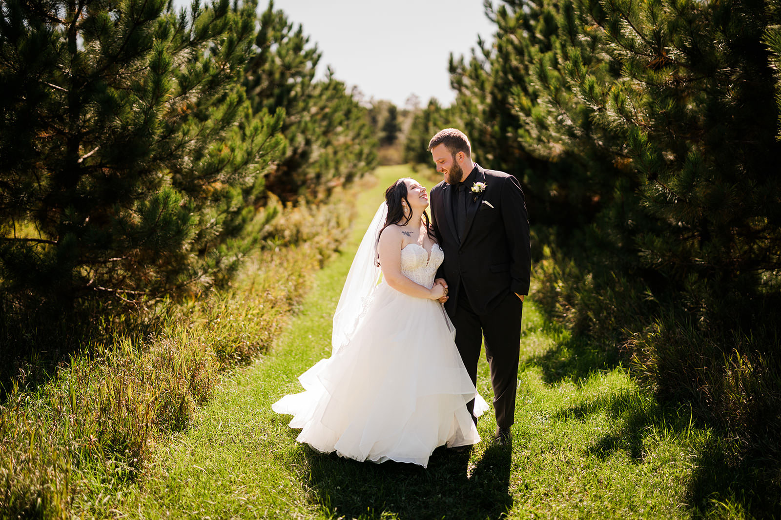 Couple kissing between rows of young pine trees — summer wedding at Pine Peaks — Tim Larsen Photography, Brainerd Lakes MN