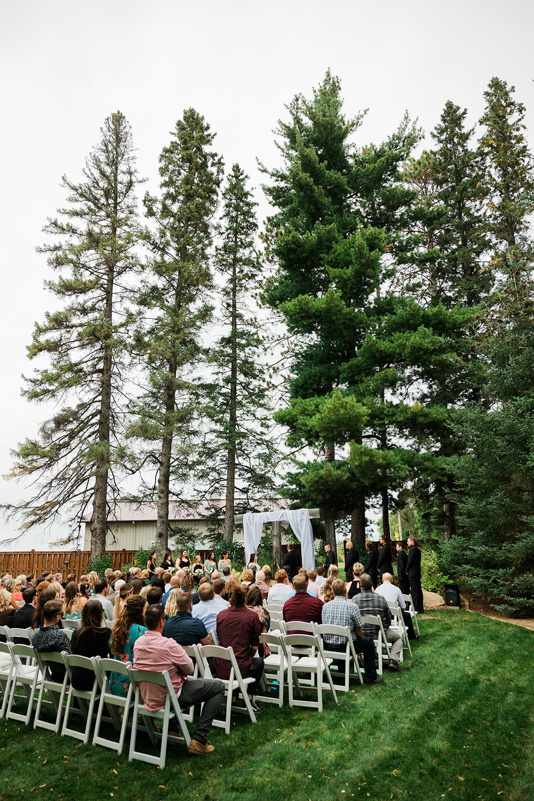 Outdoor ceremony under tall pines — wide view with all guests seated — Tim Larsen Photography, Brainerd Lakes MN