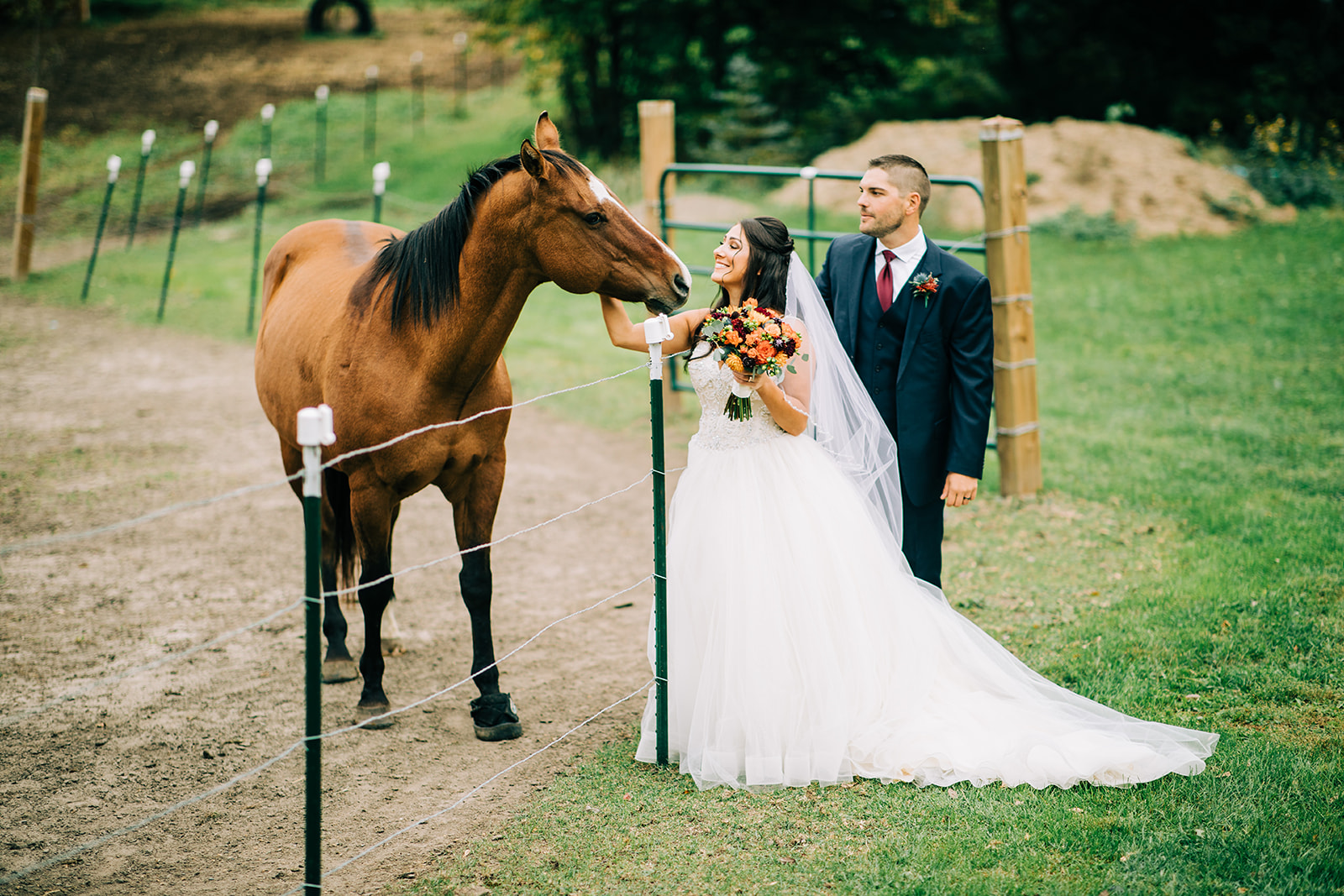 Bride greeting a horse at a pasture fence while groom looks on — Tim Larsen Photography, Brainerd Lakes MN