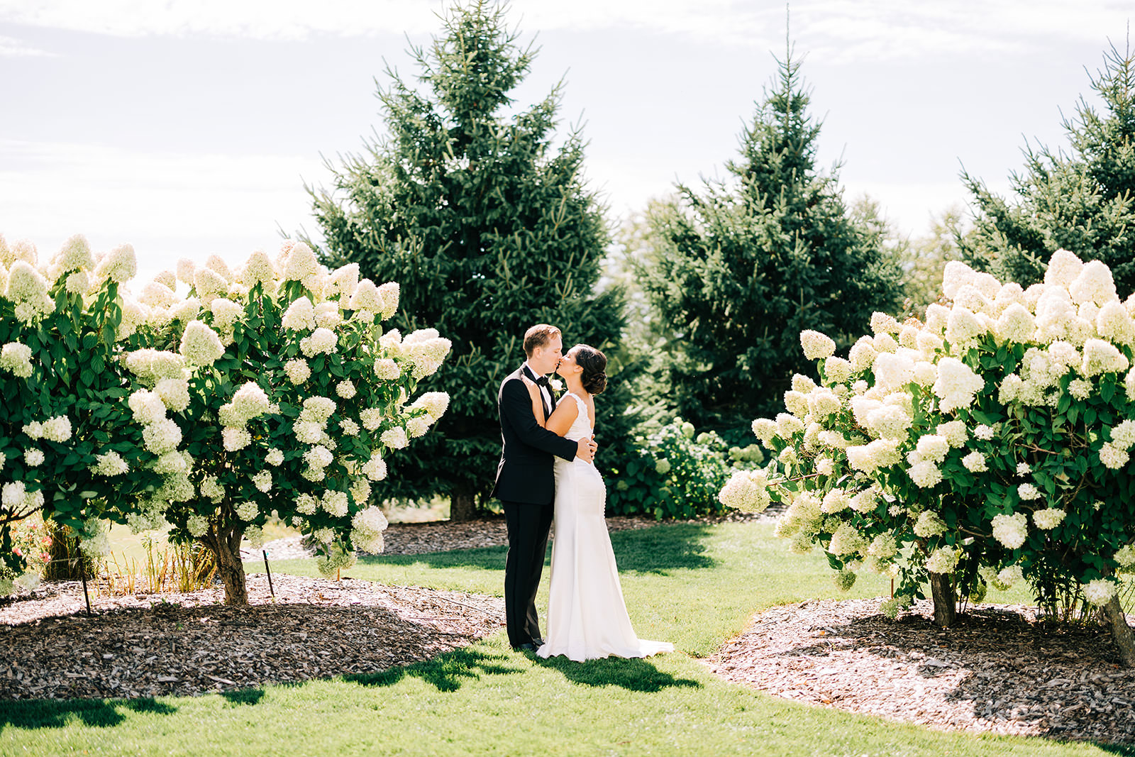 Couple kissing between white hydrangea bushes and evergreen trees — suburban garden wedding — Tim Larsen Photography, Brainerd Lakes MN