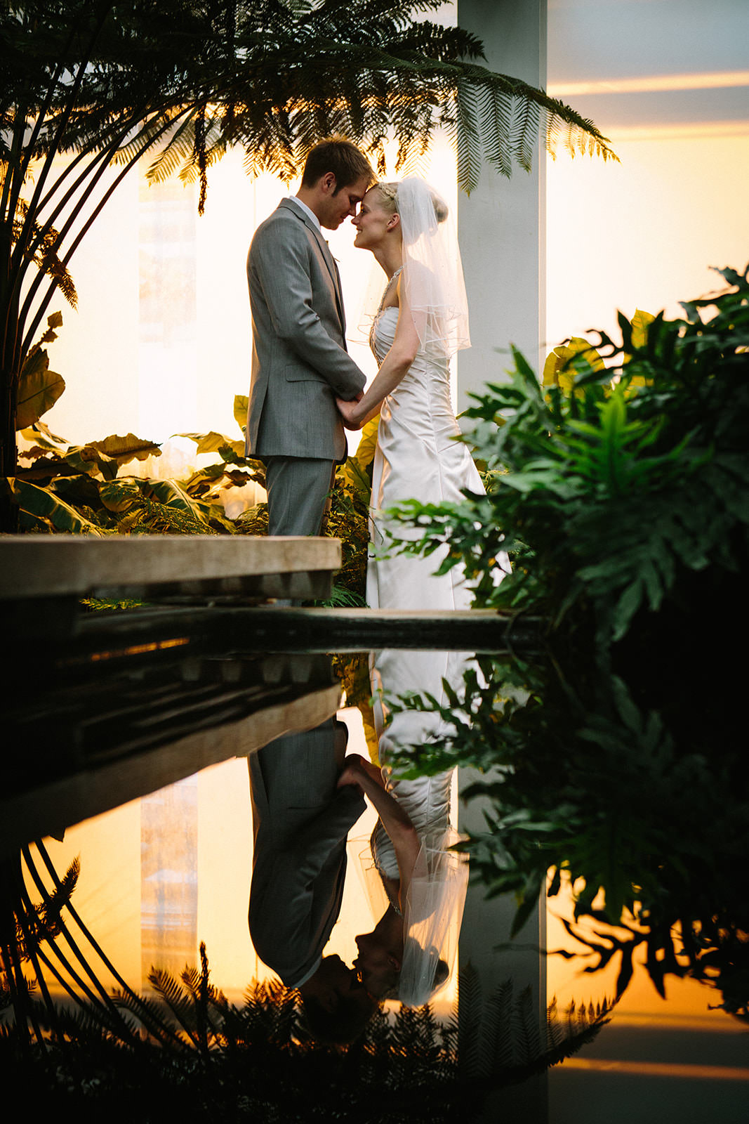 Couple kissing with tropical plants and water reflection at golden hour — conservatory portrait — Tim Larsen Photography, Brainerd Lakes MN