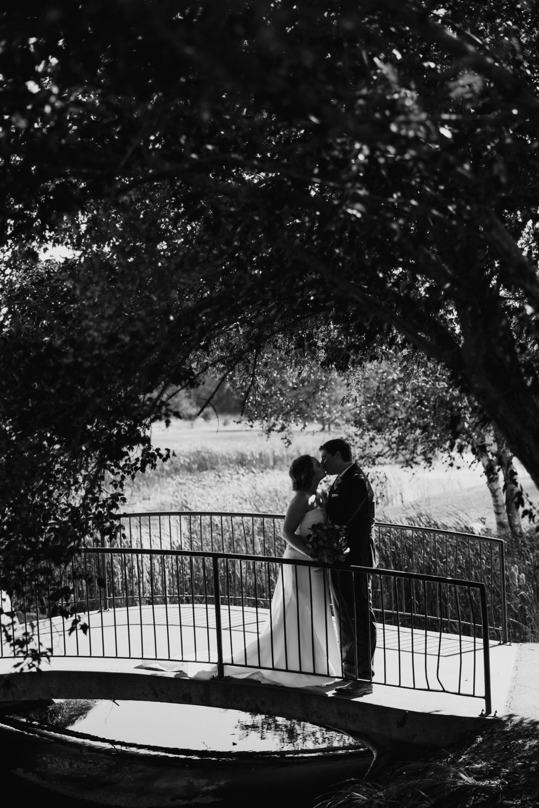 Couple on bridge framed by overhanging tree canopy with reeds behind — Tim Larsen Photography, Brainerd Lakes MN