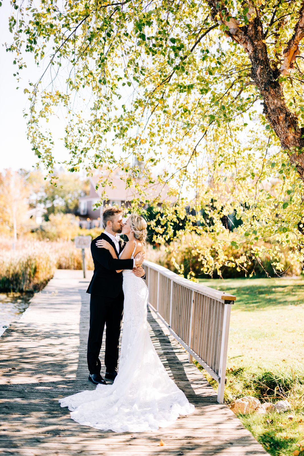 Couple framed under cascading birch canopy on dock, dress train spilling along boards. — Tim Larsen Photography, Brainerd Lakes MN