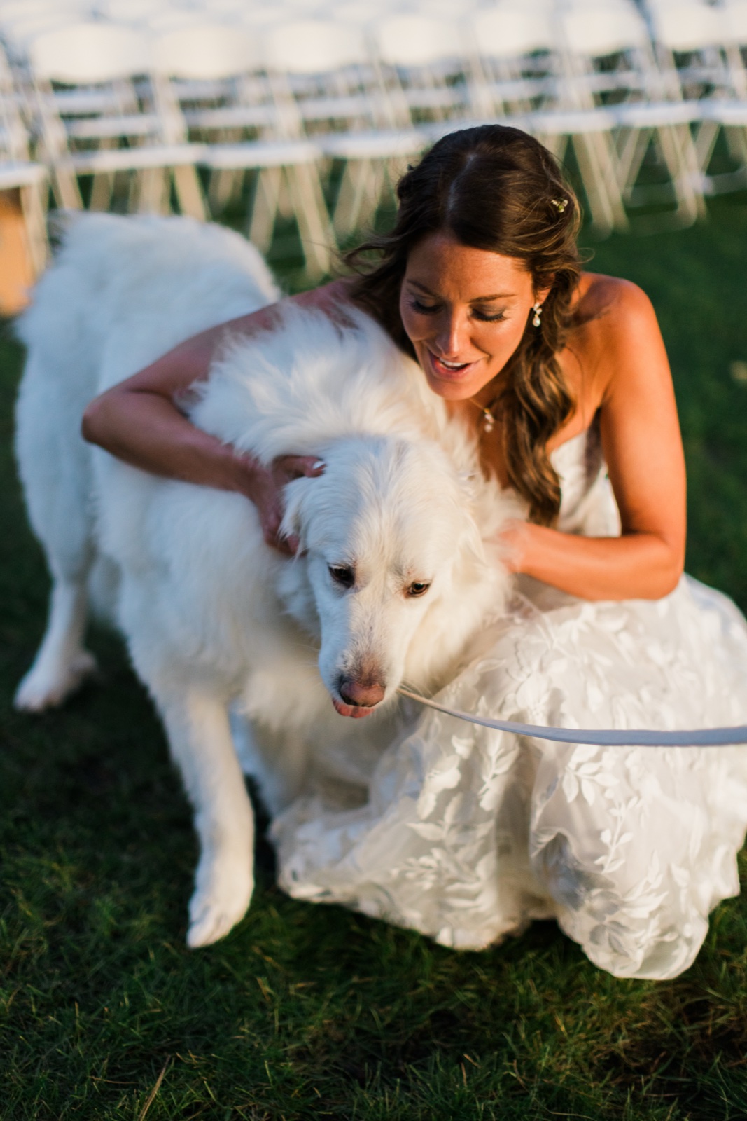 Bride kneels in golden hour light to greet the family dog after the ceremony at Manhattan Beach Lodge — Tim Larsen Photography, Brainerd Lakes MN
