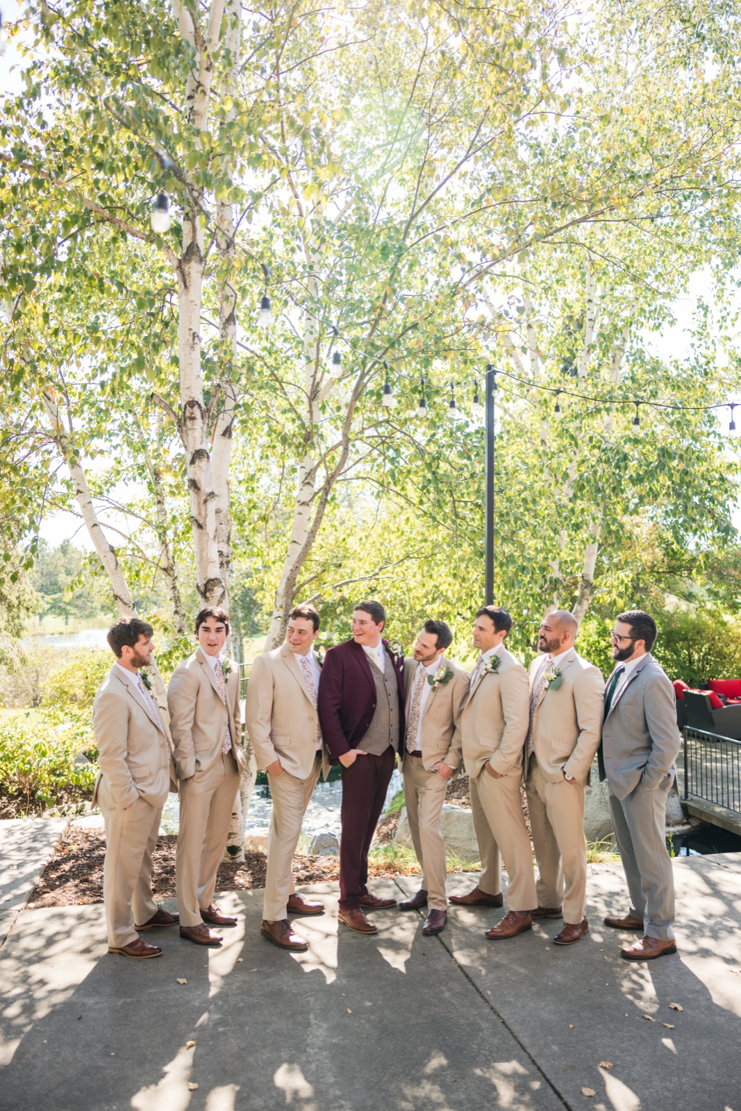 The groom in a burgundy suit stands centered among eight groomsmen in tan suits, all looking toward each other beneath a canopy of backlit birch trees — Tim Larsen Photography, Brainerd Lakes MN