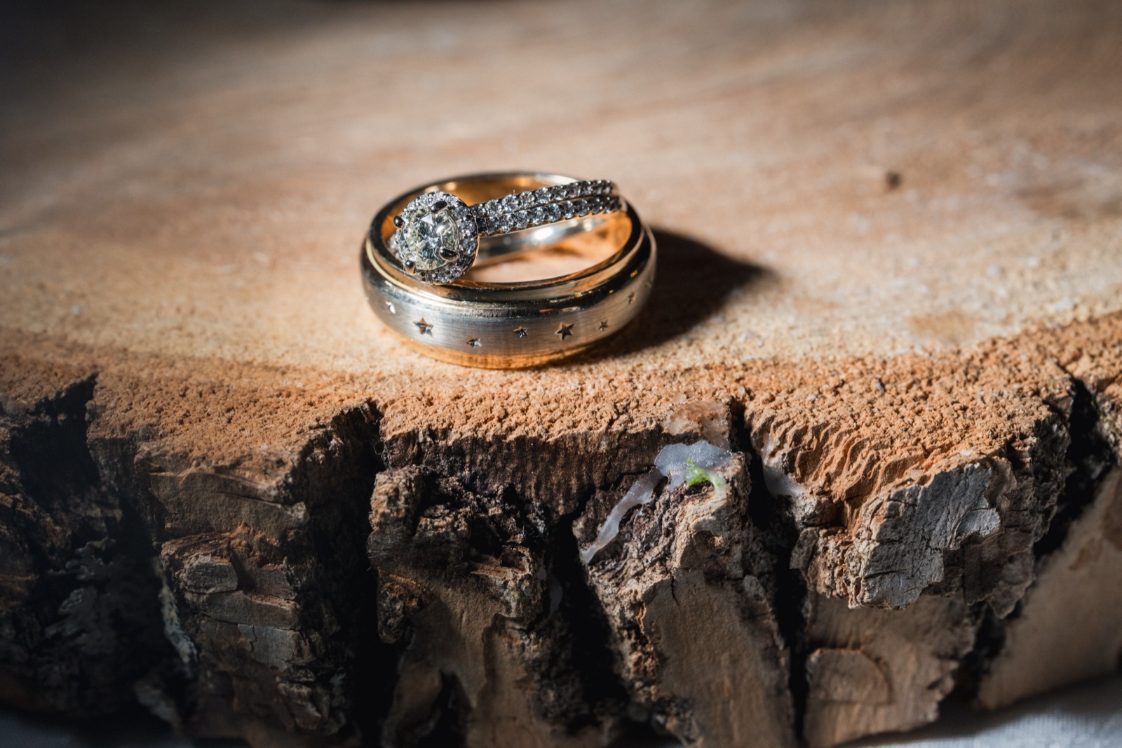 A diamond engagement ring stacked with two patterned wedding bands rests on a raw-edged wood slab in a beam of window light — Tim Larsen Photography, Brainerd Lakes MN