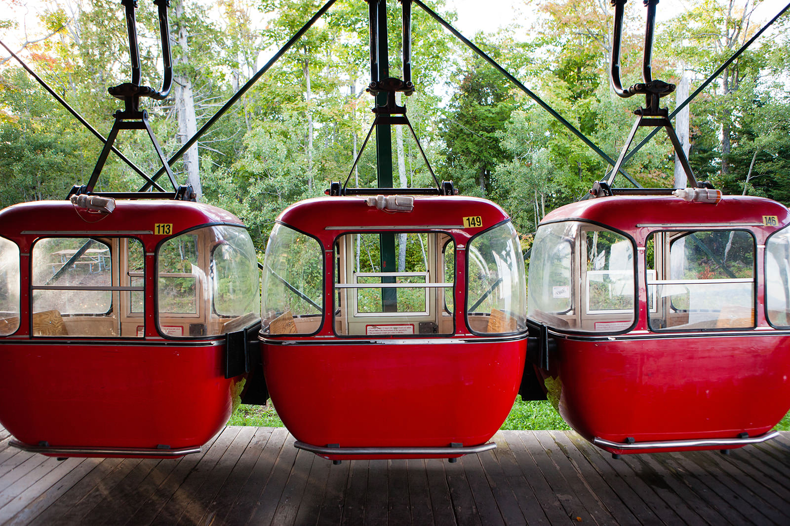 Red gondola cars at a North Shore resort with birch trees — Tim Larsen Photography, Brainerd Lakes MN